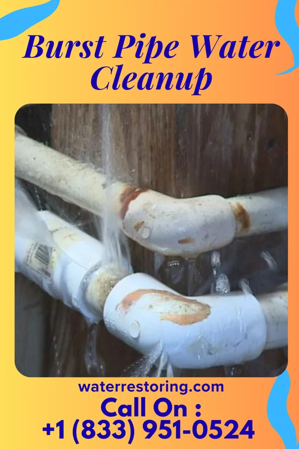 Burst Pipe Water Cleanup in Fairfax, MO