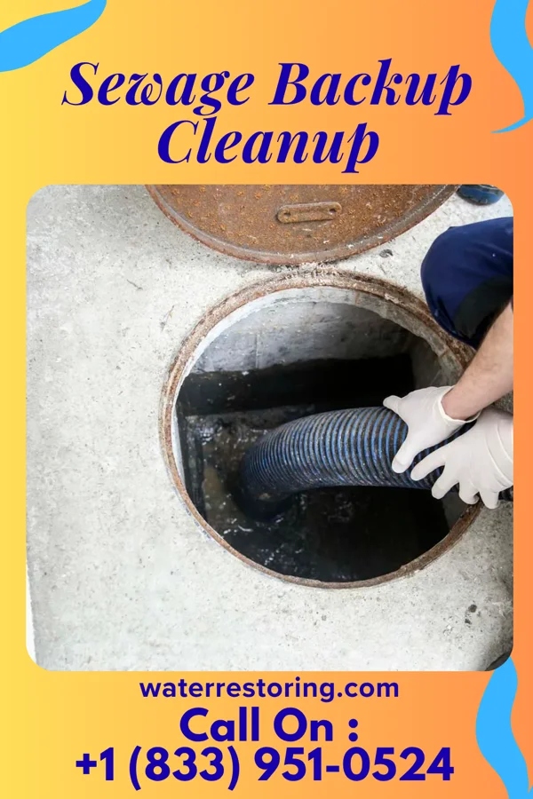 Sewage Backup Cleanup in Fairfax, MO
