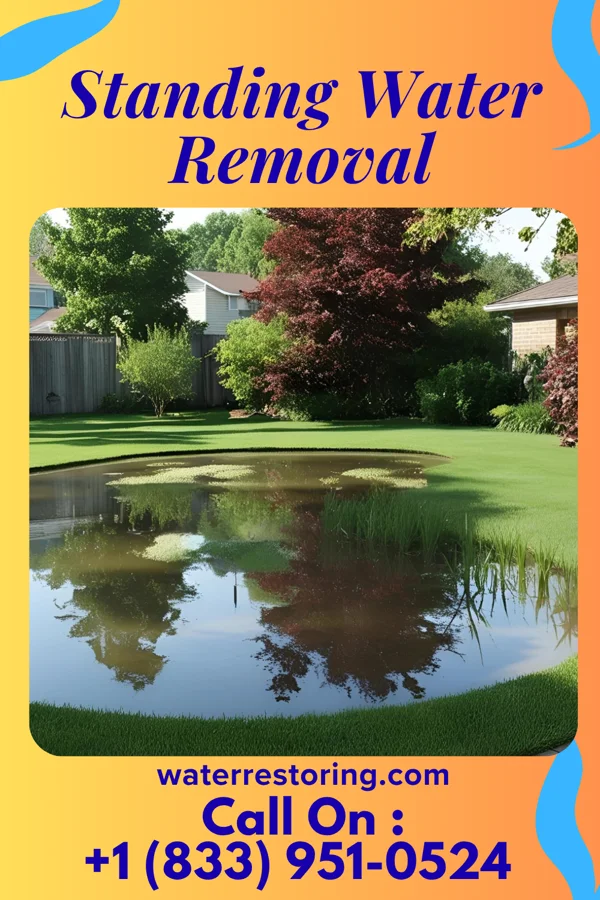 Standing Water Removal in Fairfax, MO